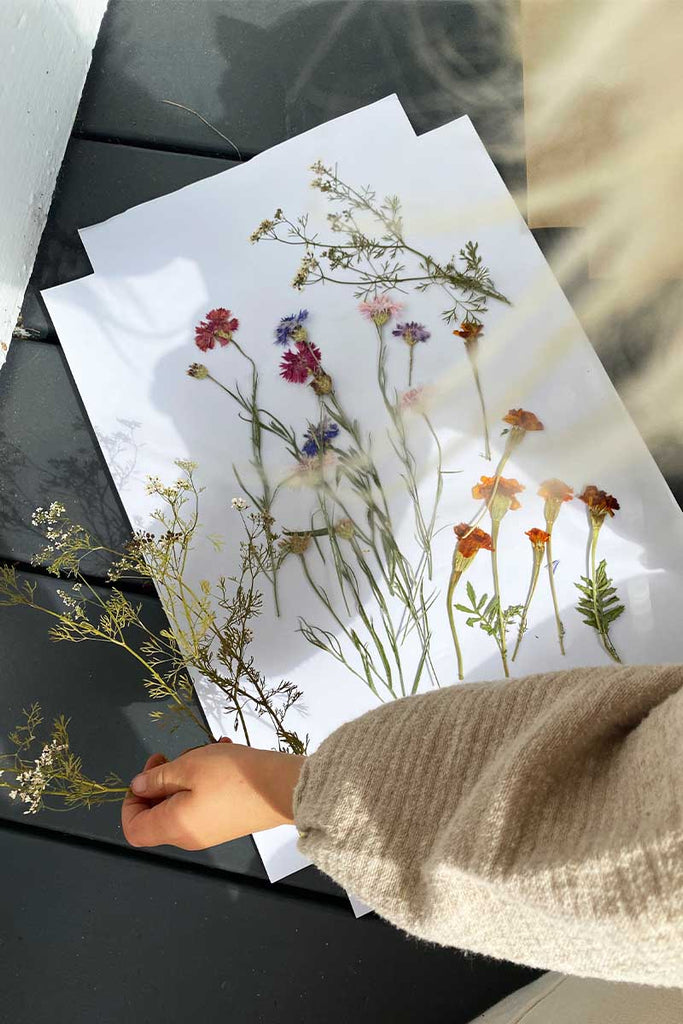 colors of pressed flowers