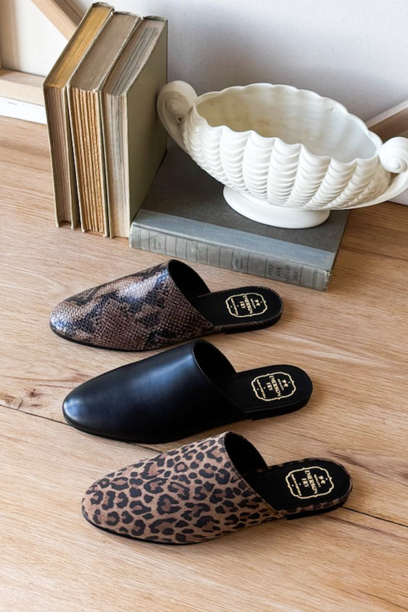 Emerson Slide 2 - Leopard